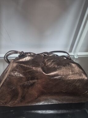 Bottega Veneta Metallic Bronze Shoulder Bag